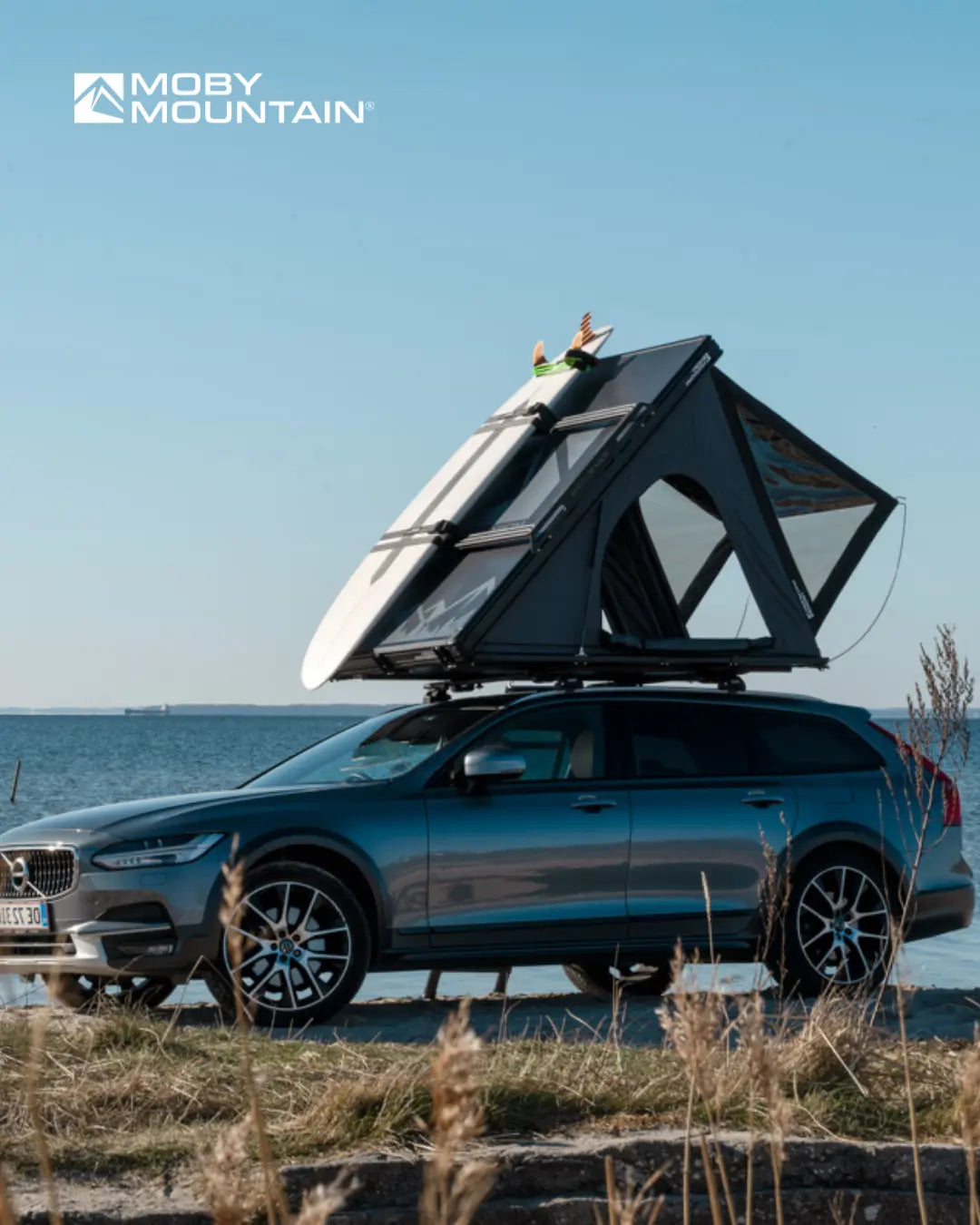 Moby Mountain - Swell M